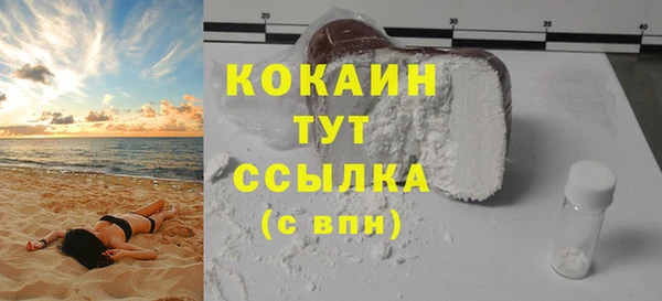 спиды Богданович