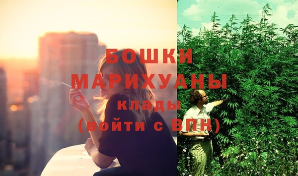 соль ск Богородицк
