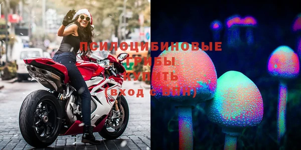 винт Арсеньев
