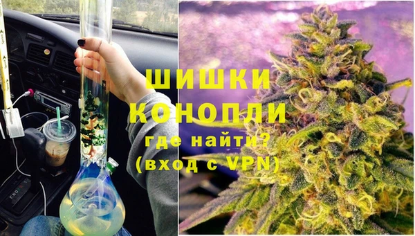 спиды Богданович