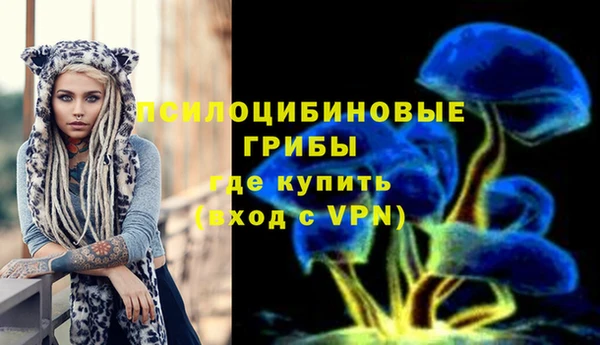MESCALINE Аркадак