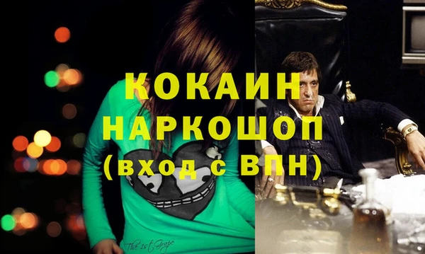 винт Арсеньев