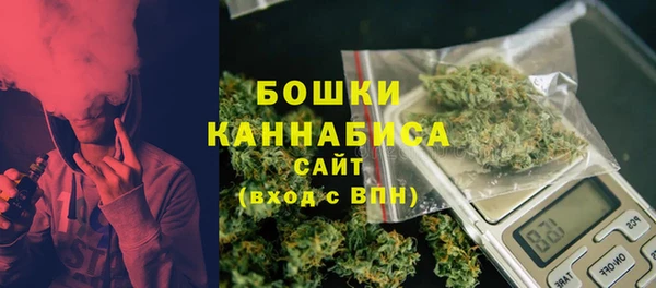 спиды Богданович