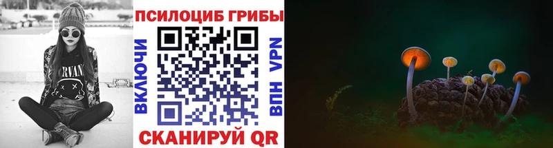 Галлюциногенные грибы ЛСД  Козьмодемьянск 